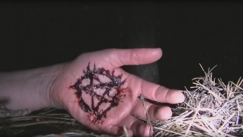 The Warning background